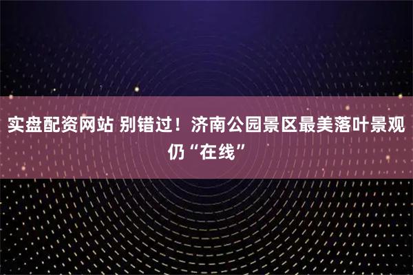 实盘配资网站 别错过！济南公园景区最美落叶景观仍“在线”