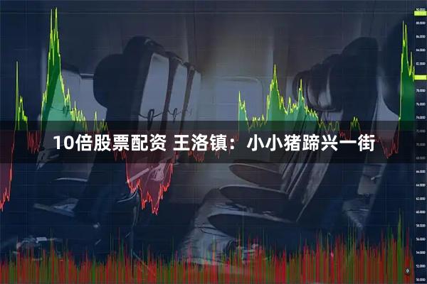 10倍股票配资 王洛镇：小小猪蹄兴一街